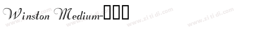 Winston Medium字体转换